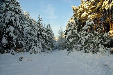 传言称一场以NS2为核心的活动将在明年5月举行