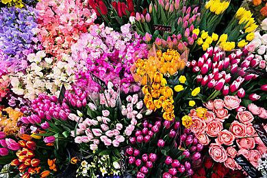 玩家在《我的世界》打造《血源》风 艺术感十足